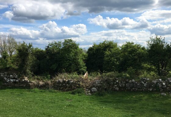 Grange - Archaeology and Architectural Heritage