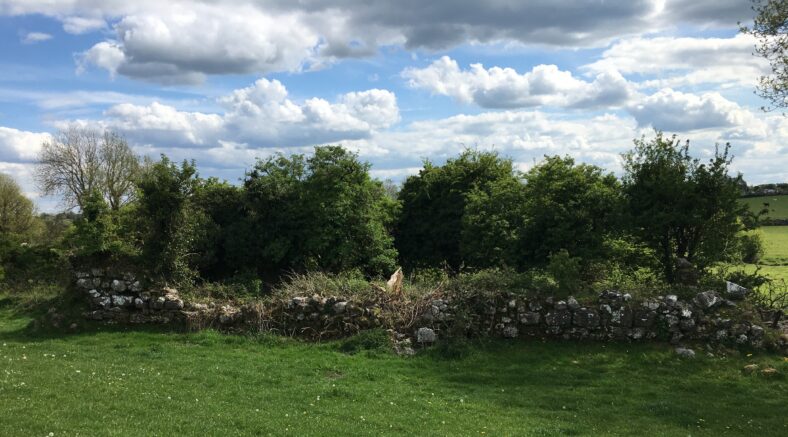 Ruins of Church in Grange | Photo: B. Forde, May 2020