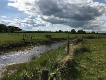 Grange River | Photo: B. Forde May 2020