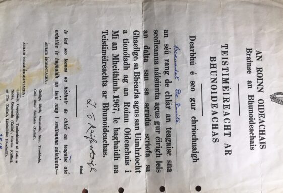 The Primary Cert