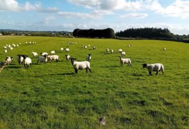 Farming
