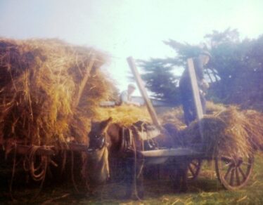 Tom and Pat Dolly emptying the cart | Photo: Dolly family photo collection, Dangan