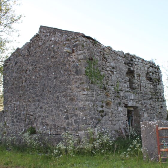 IMG_0641 (2) (1) Farrells' Mill, Coolreagh | Photo: B. Connolly