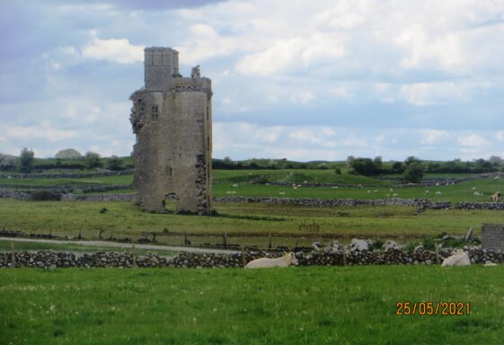 Barnaderg Castle/Tower House