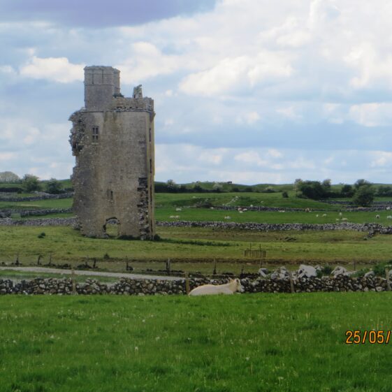 Barnaderg Castle/Tower House 2021 Barnaderg Castle/Tower House | Photo: B. Forde