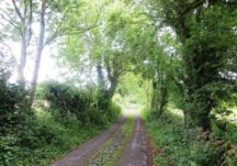 The Gobán Saor - Shantallow