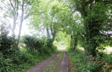 The road just beyond the Gobán Saor's house in Shantallow. | Photo: B. Forde