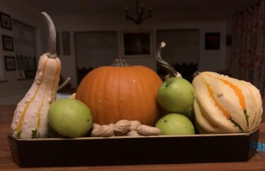 Pumpkin and nuts etc. | Bernadtte Forde