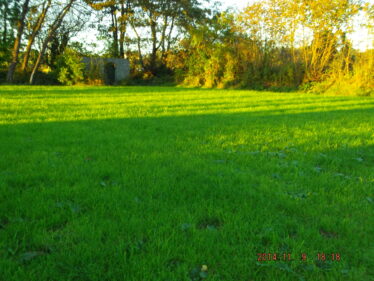 Former Synge family farm and Famine field, Peak   | Photo: Bríd Gormally, Peak Boreen