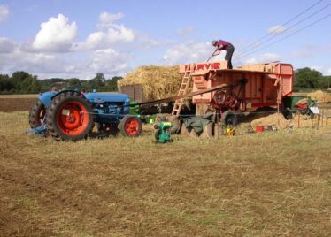 Threshing day  | Joe Mannion - U.S.A.