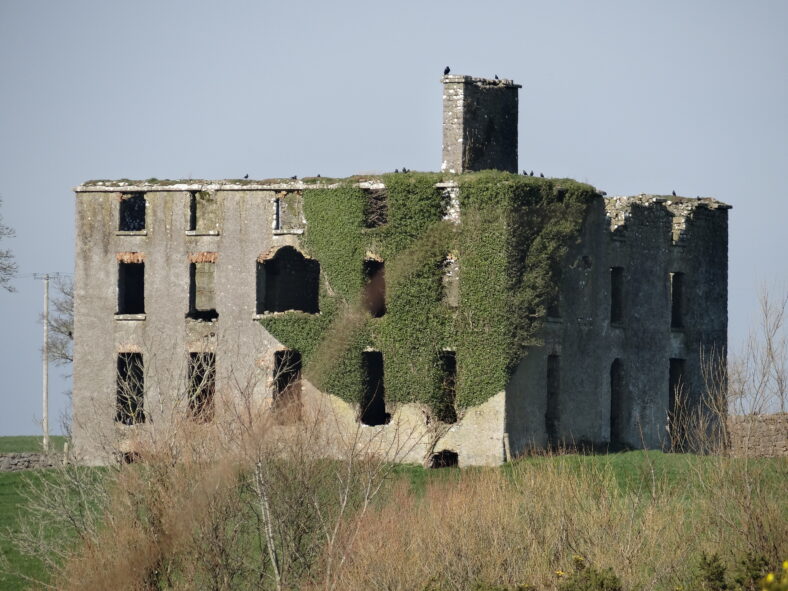 Castlemoyle House and Castle - 11-3-2014 | Photo: Bernadette Forde