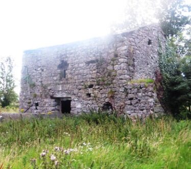 Farrell's Mill, Coolreagh
August 2015 | Photo: Bernadette Forde