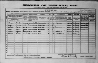 Census Records for Thomas Hanly, Hillsbrook | Killererin Heritage Society