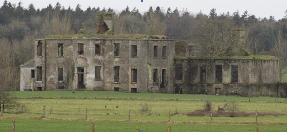 Fig. 2 - Brooklodge House ruins, front view, Jan. 2024. | Photo: Catherine Forde
