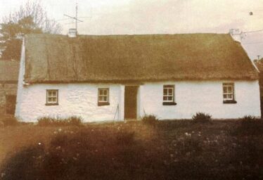 Thatched Houses