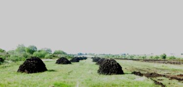 Clamps of turf in Pollacappul bog | Photo: Bernadette Forde