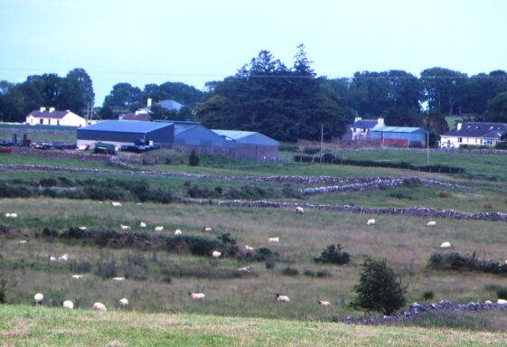 Cooldorragha, Cúl Dorcha, "dark back or hill"