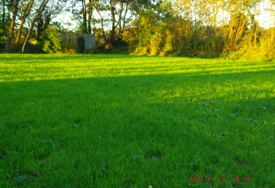 Famine in Killererin
