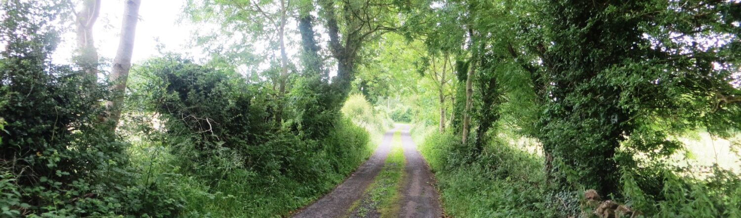 The Great Famine ­­­in Killererin – An Gorta Mór I Cill Fhir Iarainn