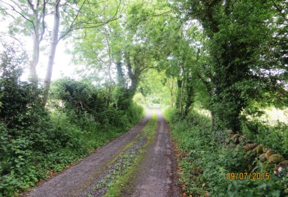 The Great Famine ­­­in Killererin – An Gorta Mór I Cill Fhir Iarainn
