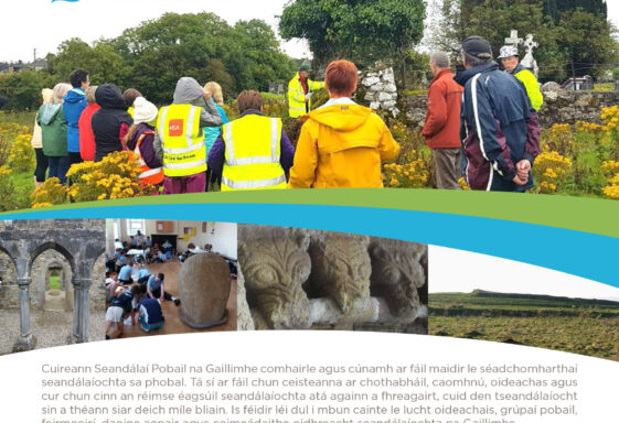Galway County Community Archaeologist