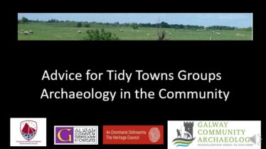 Advice for Tidy Towns - Archaeology in the community. Shows a strip of green with a ringfort in background and sheep in foreground