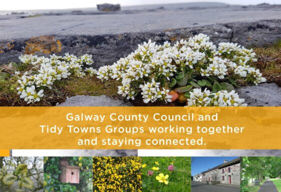 Virtual Tidy Towns