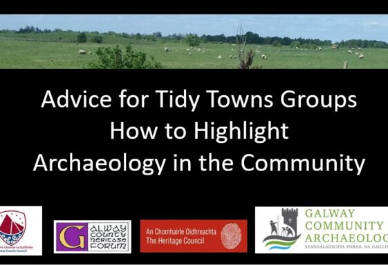 Archaeological Resources
