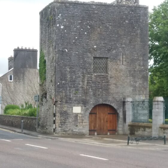 Stone gate with wooden door. Ivy growing on walls. | B. Doherty 2020