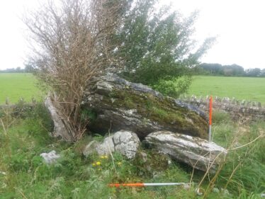 Large stones in an organised pile forming a tomb. Elder tree growing from within the tomb