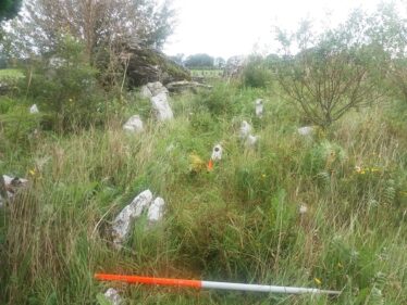 Overgrown Childrens burial ground. Grravenarkers just visible. Megalithic Monument in background | B. Doherty 2020