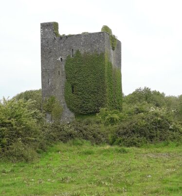 Tower house with ivy growing. batter visible. Good state of repair