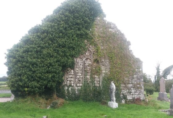 Ballinakill Abbey