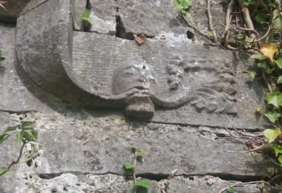 Archaeology &amp; Climate Change