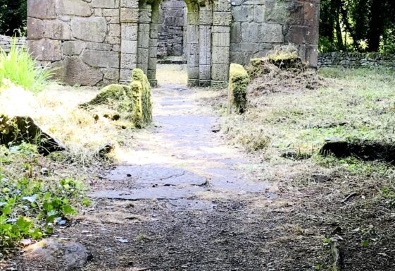 An Open Door to Archaeology and Heritage