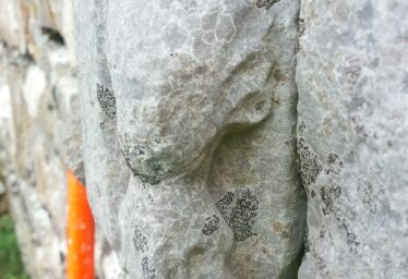 Carved image