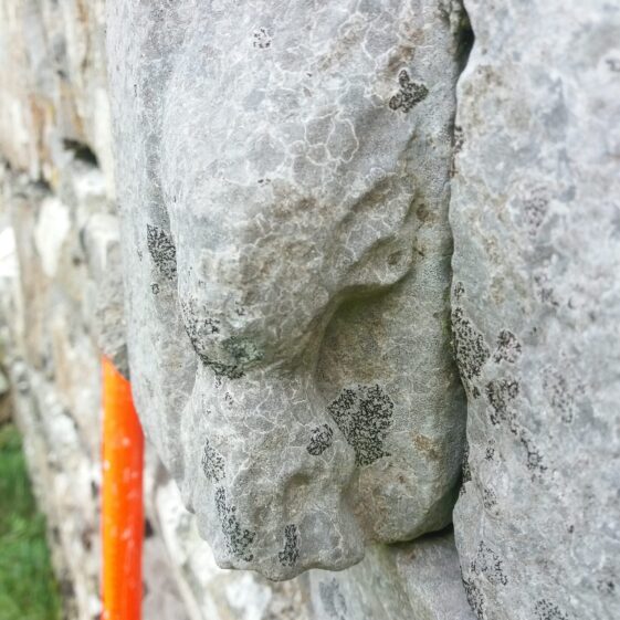 Late medieval carved head with flowing hair on the archway of church door | B. Doherty 2020