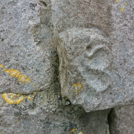 late medieval butterfly detail | B. Doherty 2020