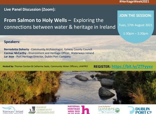 From Salmon to Holy Wells