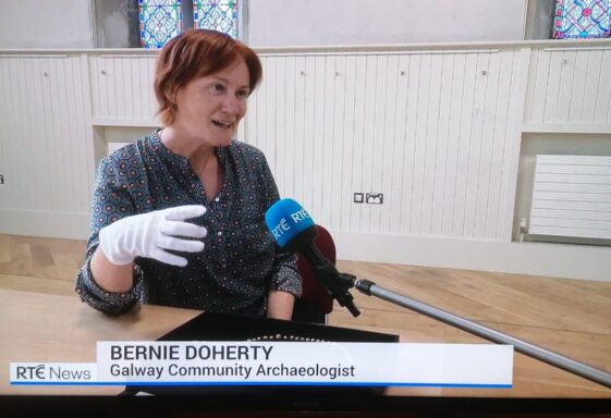 Ballinasloe Excavations