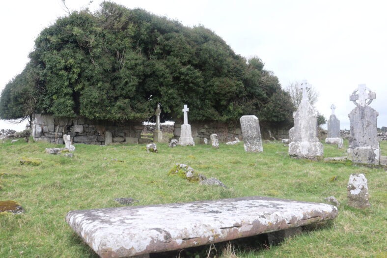 Green foliage covering church with recumbant grave slab in foreground | B. Doherty 2022