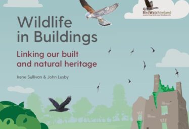 Wildlife in Buildings