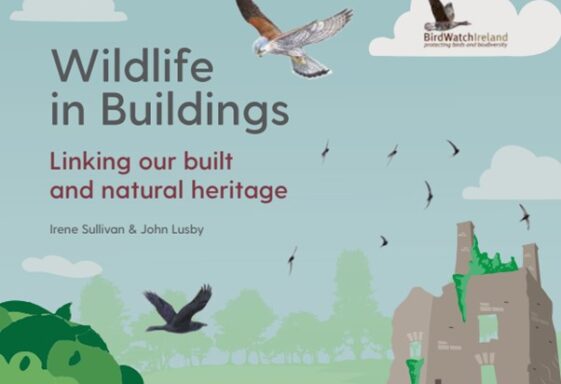 Wildlife in Buildings