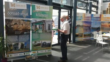 Man looking at exhibition