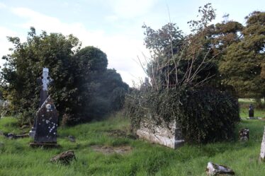 The Grave of Bishop Burke is on the right side of the image covered in ivy. The surrounding grass is uncut and uneven. The remains of the church are visible in the background but are covered in Ivy. Small grave markers can be seen scattered around the Bishops Grave. A grave stands to the left of the bishops | James Spellman 2022