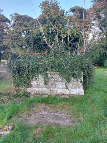Grave of Bishop Burke. Large stone rectangular shape with ivy and branches covering the top of it. The ground around is overgrown and uneven. Large trees can be seen in the background | James Spellman 2022