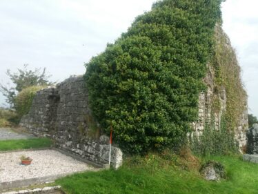 Ballinakill Abbey wall covered with ivy before any works. The ivy covers half of the gable window