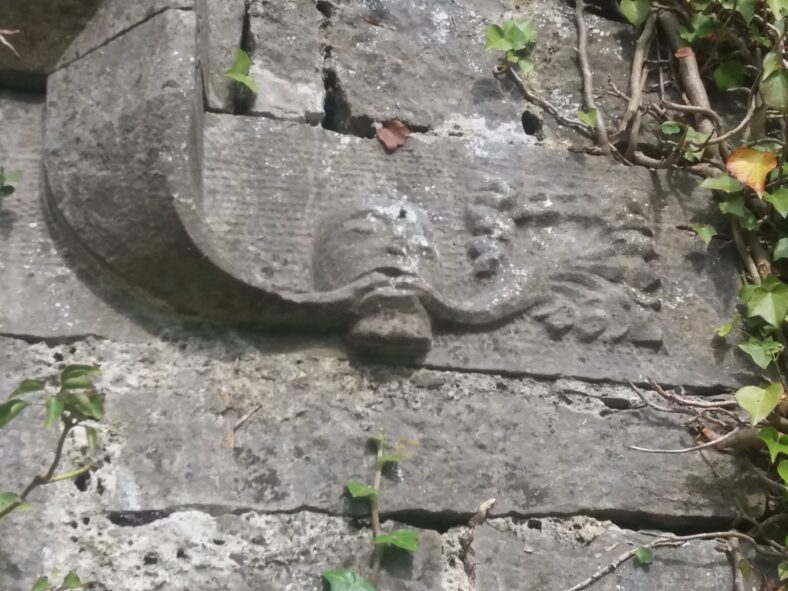 The green man, Ballinakill Abbey