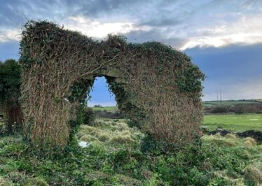 Stone wall. cleared of ivy, arched opening evident