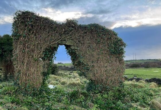 Kilcreevanty Church and Graveyard